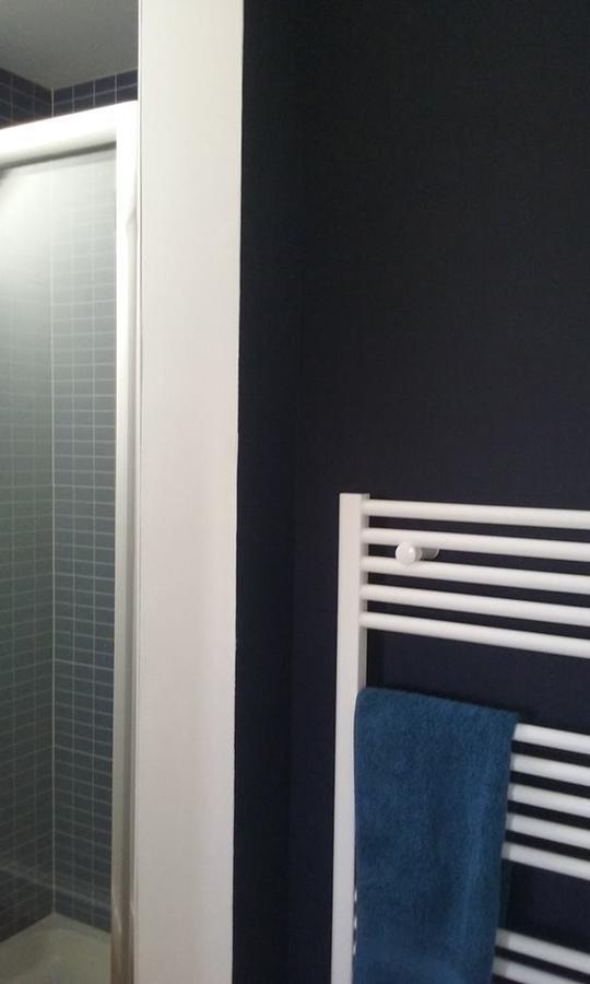 Le Bristol Appartement Canal & Chenier Canaldumidi Carcasona Exterior foto